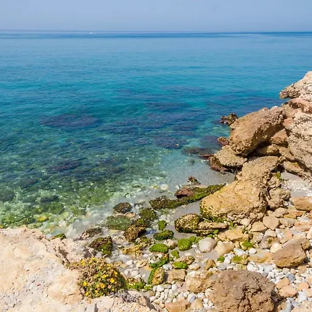 Torrecilla Beach Delfin