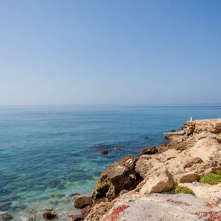 Torrecilla Beach Delfin